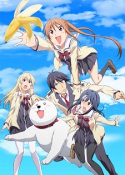 Phim Aho Girl